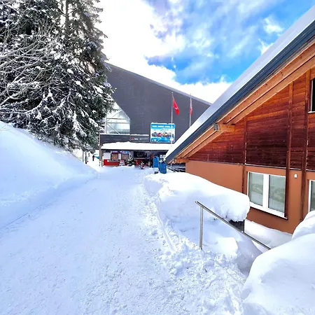 Tarbey - Au Depart Du Telecabine Torrent Διαμέρισμα